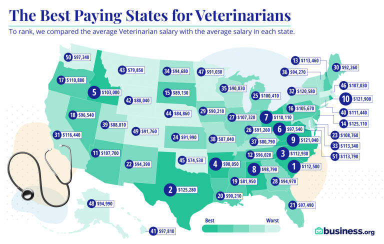 The Best paying States For Veterinarians In 2021 Business