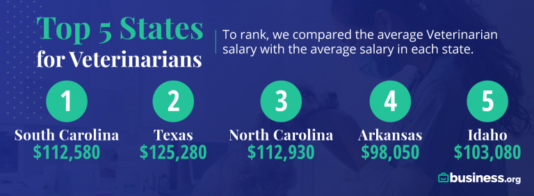 The Best paying States For Veterinarians In 2021 Business