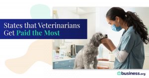The Best-paying States for Veterinarians in 2021 | Business.org