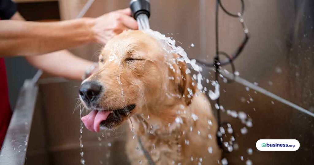 dog-at-groomers-getting-washed